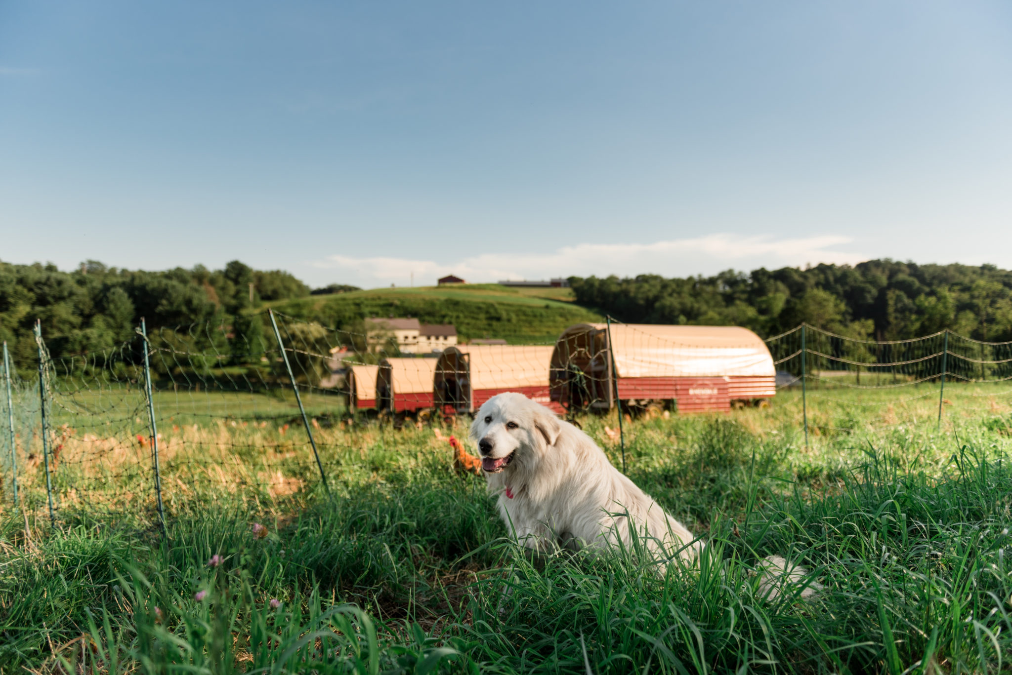 OUR TEAM - Rivendale Farms